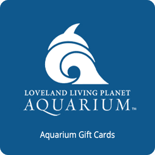 Aquarium Gift Cards